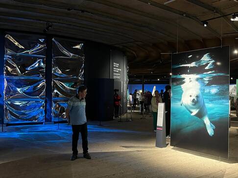 Eine Person in der Ausstellung