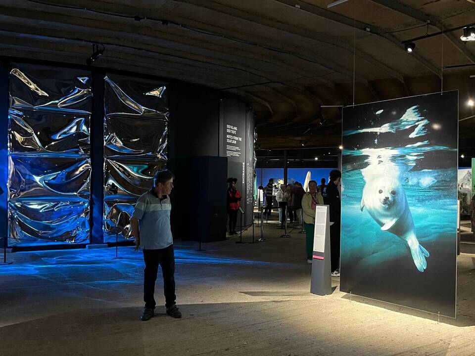Eine Person in der Ausstellung