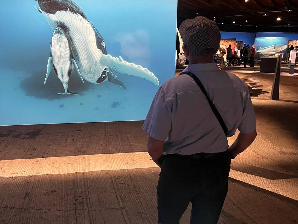 Ein Mann schaut sich ein großes Bild mit einem Fisch an.