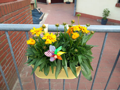 Ein Hängeblumenkasten mit gelben Blumen.