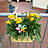 Ein Hängeblumenkasten mit gelben Blumen.