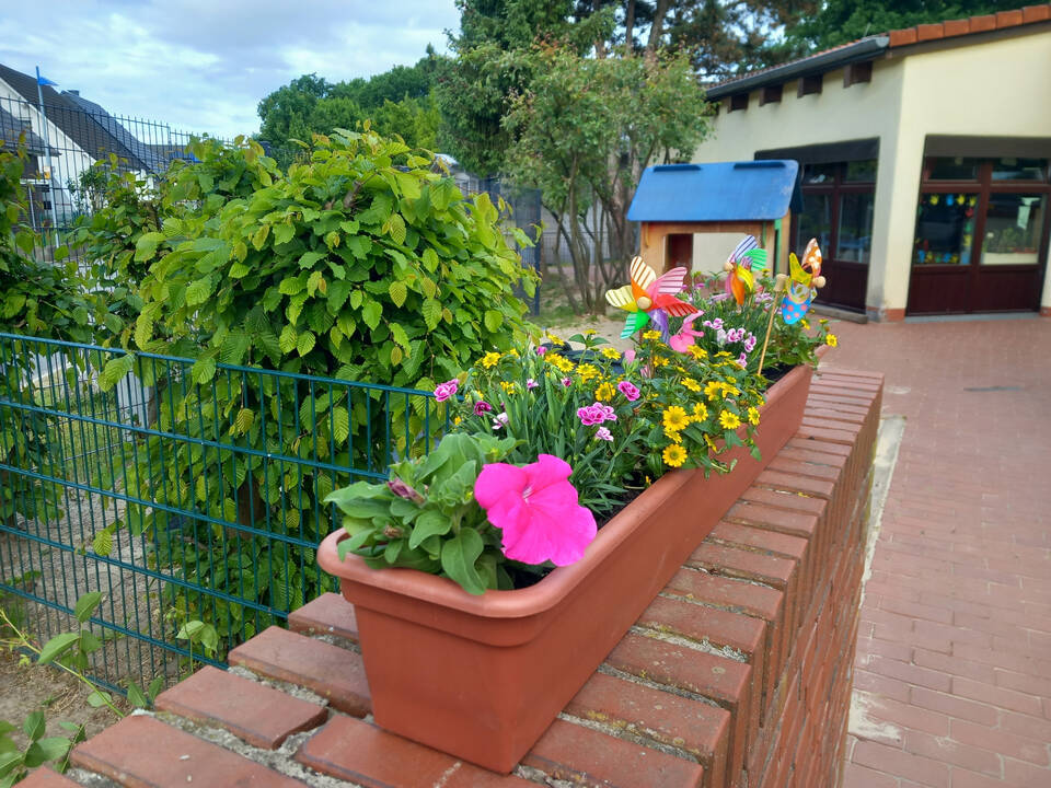 Ein bunt bepflanzter Blumenkasten.