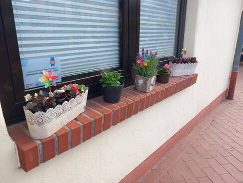 Mehrere Blumenkästen mit bunten Blumen.