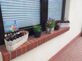 Mehrere Blumenkästen mit bunten Blumen.