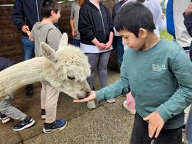  Ausflug der Dienstaggruppe zum Alpakahof Höhendorf 