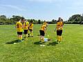 Spieler auf dem Fussballfeld in schwarz-gelben Trikots