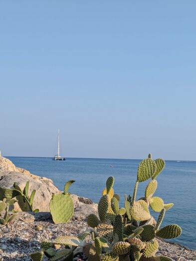 Felsen und Meer.