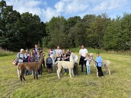 Gruppenfoto mit Alpakas