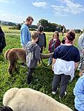 Einige Personen mit Alpakas auf der Wiese.