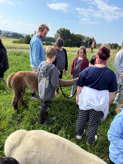 Einige Personen mit Alpakas auf der Wiese.