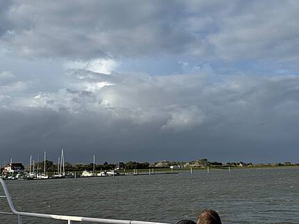 Ein Bild mit Wasser und WIese.