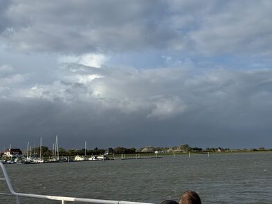 Ein Bild mit Wasser und WIese.