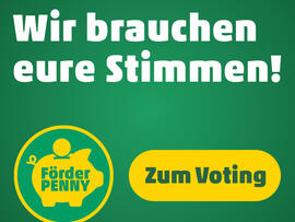 Hier geht es zum Voting