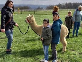 EIne Frau hält ein Alpaka, zwei Kinder stehen daneben.