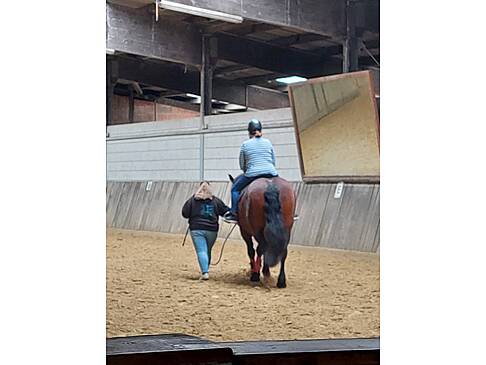 Eine Frau auf einem Pferd wird durch die Reithalle geführt.