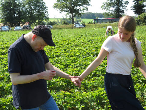 Ein Kunde geht mit einer jungen Frau an der Hand durchs Erdbeerfeld.