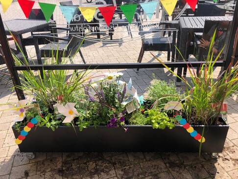 Bepflanzter Blumenkasten