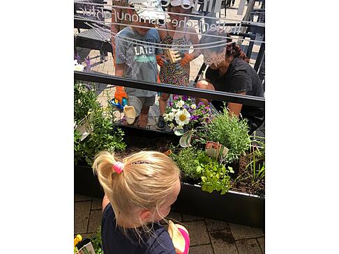 Foto vom bepflanzen des Blumenkastens