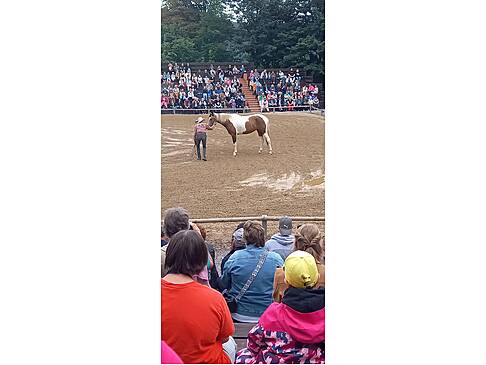 Eine Person mit dem Pferd auf dem Schauspielplatz
