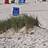 Strand mit Strandkörben.