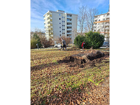 Ein Mann fährt Steine mit einer Schubkarre weg.