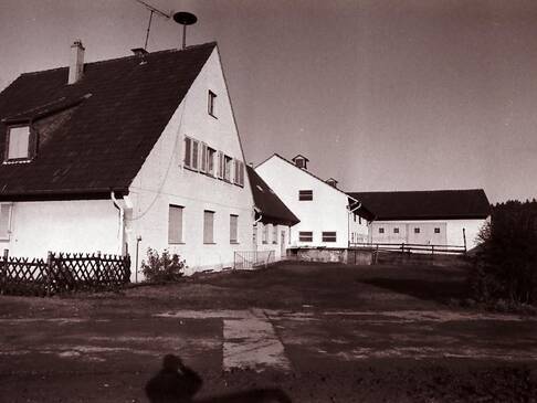 Ein altes Bild vom Gutshof Wigginghausen.