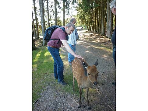 Ein Mann streichelt Damwild.