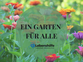Bild mit Blumen und Schrift ein Garten für Alle