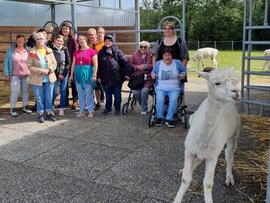 Ein Gruppenbild mit einem Alpaka.