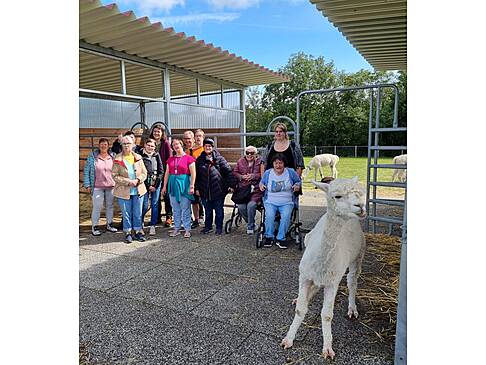 Ein Gruppenbild mit einem Alpaka.