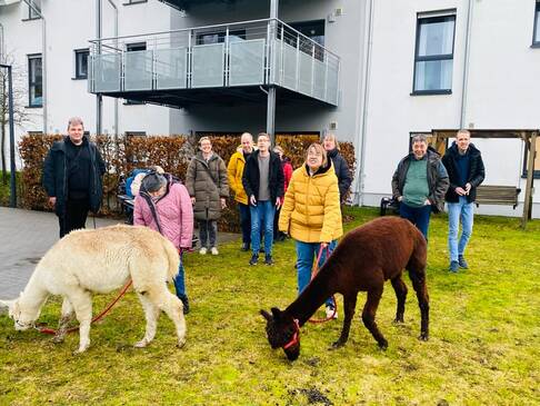 Alpakas und Kunden auf einem Stück Rasen.