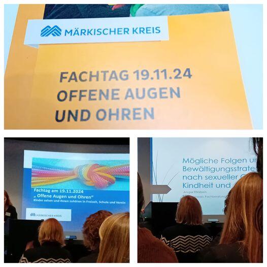 Drei Bilder in einer Collage zusammengefasst.