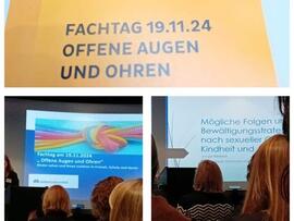 Drei Bilder in einer Collage zusammengefasst.