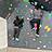 Zwei junge Menschen an der Kletterwand