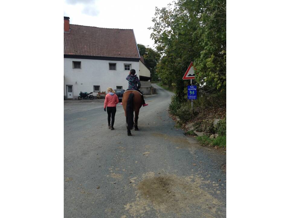 Ein Mensch sitzt auf einem braunen Pferd, eine Frau geht nebenher.