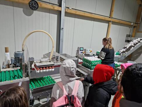 Bild vier zeigt die Kindergruppe