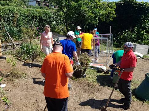 Viele Personen arbeiten im Garten.