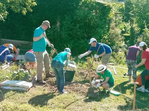 Viele Personen arbeiten im Garten.