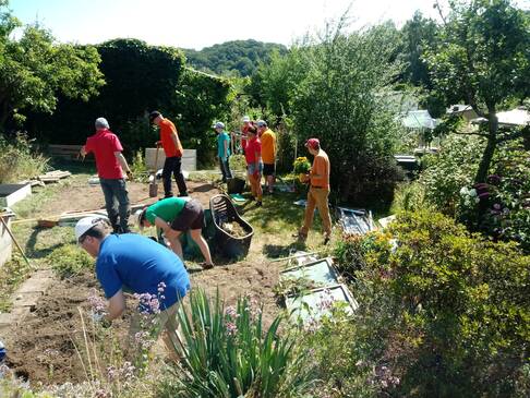 Viele Personen arbeiten im Garten.