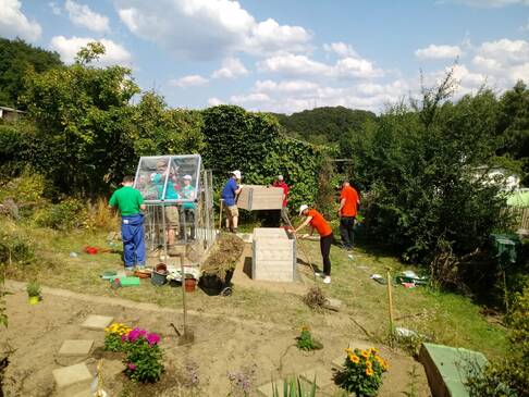 Fünf Peronen im Garten arbeiten.