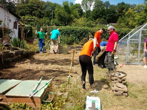 Viele Personen arbeiten im Garten.