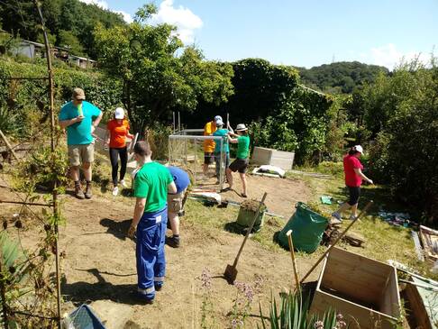 Viele Personen arbeiten im Garten.