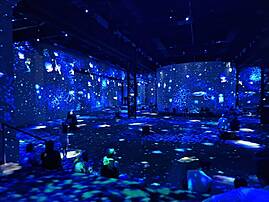 Besucherinnen und Besucher sitzen in einer dunklen Industriehalle und schauen sich eine immersive Kunstausstellung an. Die Wände und der Boden sind mit leuchtenden Projektionen von blauen Quallen und einem Sternenhimmel bedeckt.