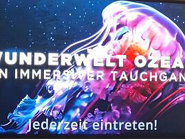 auf einer großen Leinwand ist eine leuchtende Koralle in Bewegung zu sehen und die Aufschrift ind großen weißen Buchstaben: WUNDERWELT OZEAN EIN IMMERSIVER TAUCHGANG JEDERZEIT EINTRETEN