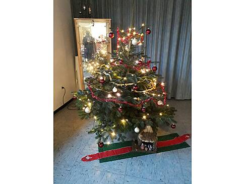 Ein geschmückter Weihnachtsbaum.