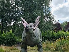 Ein lebensgroßes Modell eines Dinosauriers mit einem großen Nackenschild steht auf einer Wiese. Die Figur ist nach vorne geneigt und blickt den Betrachter direkt an.
