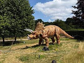 Die Seitenansicht eines detailgetreuen Modells eines Triceratops steht auf einer Wiese. Der Dinosaurier hat drei Hörner im Gesicht und einen großen Nackenschild.