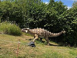 Ein Modell eines gepanzerten Dinosauriers mit Stacheln auf dem Rücken steht seitlich auf einem kleinen, grasbewachsenen Hügel. Im Hintergrund sind grüne Bäume und ein blauer Himmel zu sehen.