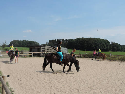 Mehrere Pferde gehen mit Personen auf ihnen über einen Reitplatz und werden geführt.