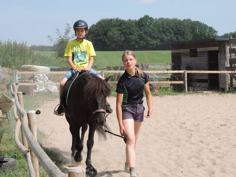 Ein Kind sitzt auf einem Pferd und wird über den Reitplatz geführt.